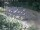 Webcam in Munich, 3.2 mi away