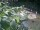 Webcam in Munich, 1.7 mi away