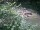 Webcam in Munich, 1 mi away