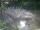 Webcam in Monaco di Baviera, 30.7 km