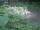 Webcam in Munich, 1 mi away