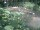Webcam in Munich, 1 mi away