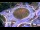 Webcam in Armdale, 1.4 mi away
