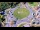 Webcam in Armdale, 19.5 mi away