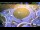 Webcam in Armdale, 4.1 km entfernt