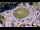 Webcam in Armdale, 28.5 km