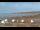 Webcam in Mavillette, 28.3 km