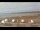 Webcam in Mavillette, 31.9 mi away