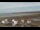 Webcam in Mavillette, 291.9 km