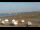 Webcam in Mavillette, 78.5 km