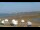Webcam in Mavillette, 77.7 km