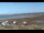 Webcam in Mavillette, 164.4 km