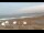 Webcam in Mavillette, 28.3 km