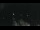 Webcam in Rayol-Canadel-sur-Mer, 0 mi away
