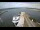 Webcam in North East Point (Cape Sable Island), 242.8 km