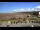 Webcam in Wolfville, 229.5 km