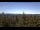 Webcam in Bald Rock, 26.5 km entfernt