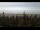 Webcam in Bald Rock, 7.3 mi away