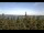 Webcam in Bald Rock, 52.8 km