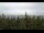 Webcam in Bald Rock, 18 mi away