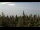 Webcam in Bald Rock, 52.8 km entfernt