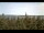 Webcam in Bald Rock, 58.7 km