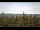 Webcam in Bald Rock, 19.9 km