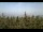Webcam in Bald Rock, 51.2 km entfernt