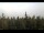 Webcam in Bald Rock, 7.5 mi away