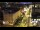 Webcam in Halifax, 0.6 km