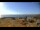 Webcam in Iona, 88.6 km