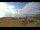 Webcam in Iona, 46.9 mi away