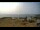 Webcam in Iona, 34.2 mi away