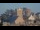 Webcam in Barneville-Carteret, 33.2 km entfernt
