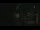 Webcam in Dunkerque, 0 km