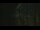 Webcam in Dunkirk, 2.1 mi away