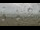 Webcam in Dunkerque, 5.9 km