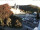 Webcam in Einsiedeln, 2.7 km entfernt