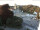 Webcam in Einsiedeln, 9.8 km