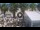 Webcam in Civitanova Marche, 8.9 km