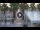 Webcam in Civitanova Marche, 1.6 km