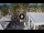 Webcam in Civitanova Marche, 1.3 km