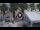 Webcam in Civitanova Marche, 1.3 km