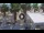 Webcam in Civitanova Marche, 0.7 km