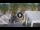 Webcam in Civitanova Marche, 0.6 mi away