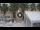 Webcam in Civitanova Marche, 6.4 mi away