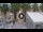 Webcam in Civitanova Marches, 1.7 km