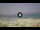 Webcam in Marina di Zambrone, 41.3 km