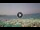 Webcam in Marina di Zambrone, 41.3 km entfernt