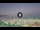 Webcam in Marina di Zambrone, 5.5 mi away